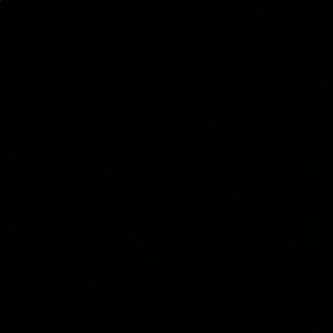 Meet your Posher, Karina